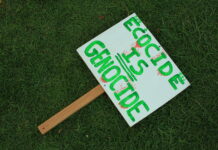 Why It’s Time to Make Ecocide a Crime: For the Sake of Its Victims