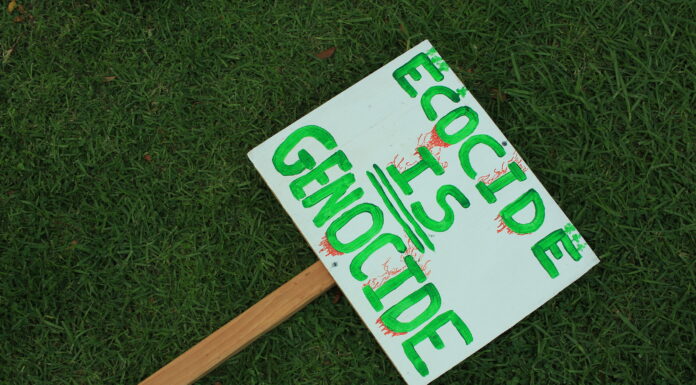 Why It’s Time to Make Ecocide a Crime: For the Sake of Its Victims