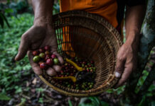 New Study Says Conservation and Food Production Must Be Considered in Tandem to Limit Risk to Species