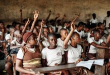 Why Education Systems Should Build Environmental Ethics Into Every Subject