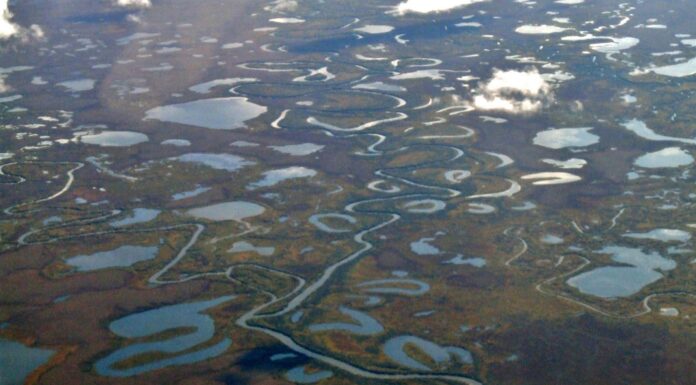 Plans to Develop World’s Largest Pure Gold Mine Threaten Indigenous Livelihoods, Health, and Traditional Ways of Life