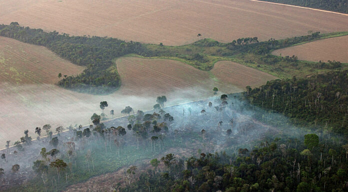 The Great Amazon Land Grab – How Brazil’s Government is Turning Public Land Private, Clearing the Way for Deforestation