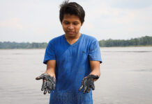 Environmental Justice: Ecuador’s Indigenous Peoples Have Power to Protect Their Lands from Oil and Mining Following Landmark Ruling