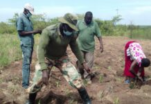 Kenyan Community Successfully Restores Half of Their Forest in Just Five Years