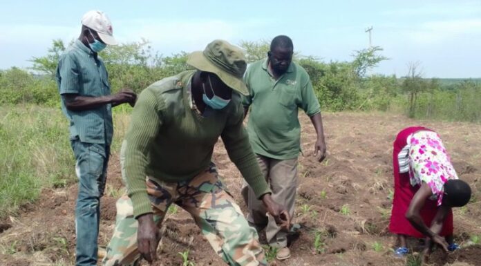 Kenyan Community Successfully Restores Half of Their Forest in Just Five Years