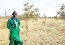 How a Community-led Approach is Enabling Regeneration of the Sahel