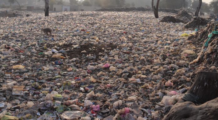 Circular Economy Needed for Chemicals as Plastics Blow Through Safe ‘Planetary Boundary’