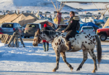 Two Native Tribes are Helping Create an Electric Vehicle ‘Pipeline’