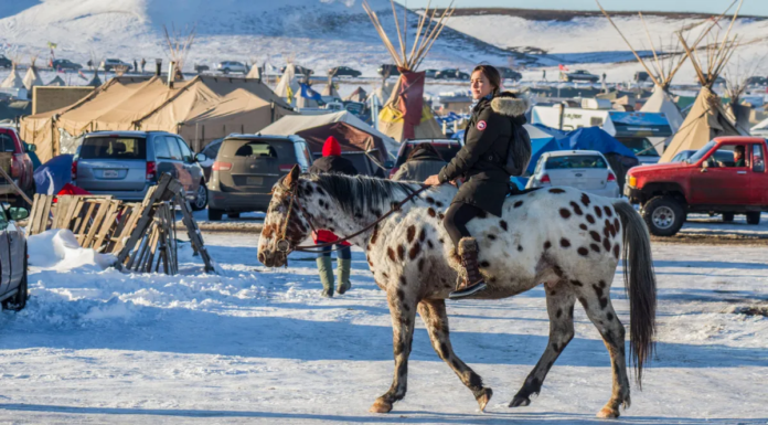 Two Native Tribes are Helping Create an Electric Vehicle ‘Pipeline’