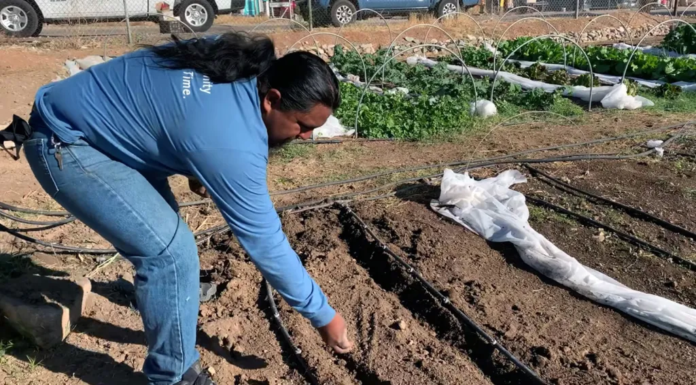 Indigenous Farmers Bring Back Crops Adapted to Hot, Dry Conditions