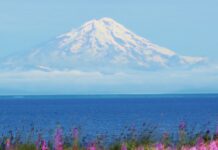 U.S. Administration Cancels Offshore Oil Leases in Alaska and Gulf Coast