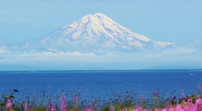 U.S. Administration Cancels Offshore Oil Leases in Alaska and Gulf Coast