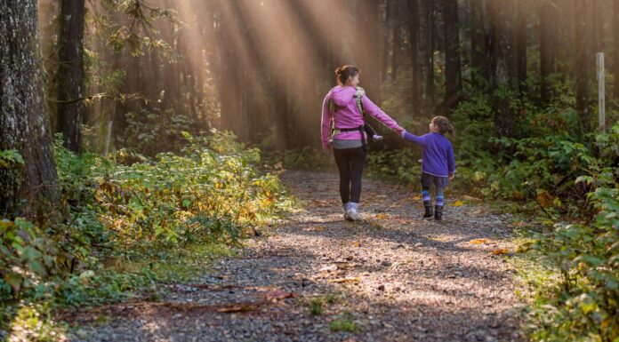 How Children are Helping to Make Their Families More Eco-friendly – New Research