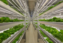 5 Technologies That Will Help Make the Food System Carbon Neutral