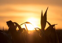 Ag’s Challenging Future in a Changing Climate