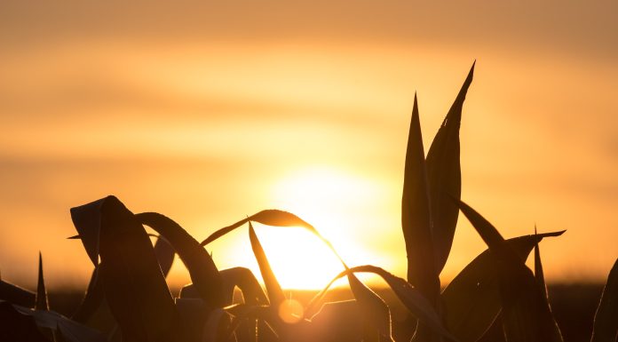 Ag’s Challenging Future in a Changing Climate