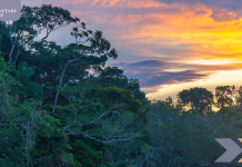 Rights of Nature: Human Rights or Common Heritage of Humankind?