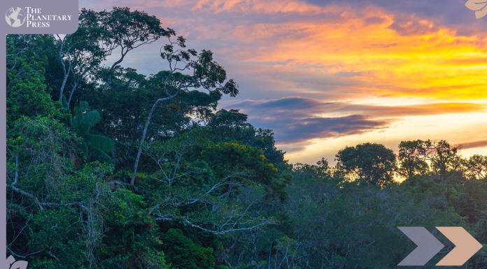 Rights of Nature: Human Rights or Common Heritage of Humankind?