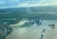 Farm Floods Will Hit Food Supplies and Drive Up Prices. Farmers Need Help to Adapt as Weather Extremes Worsen