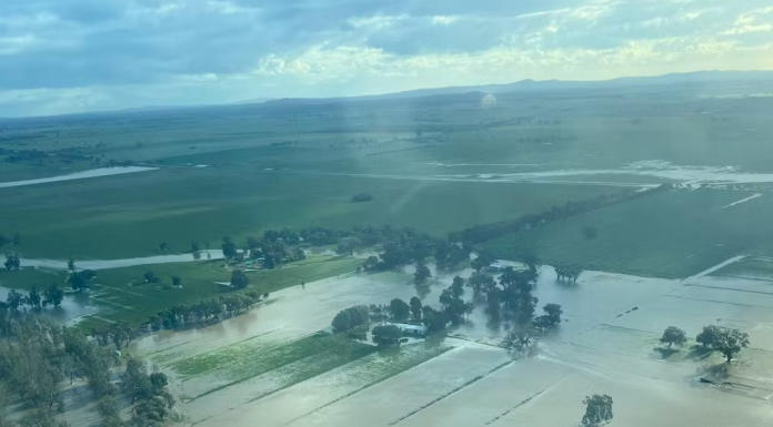 Farm Floods Will Hit Food Supplies and Drive Up Prices. Farmers Need Help to Adapt as Weather Extremes Worsen