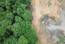 EU Agrees Groundbreaking New Law to Halt Deforestation in World First
