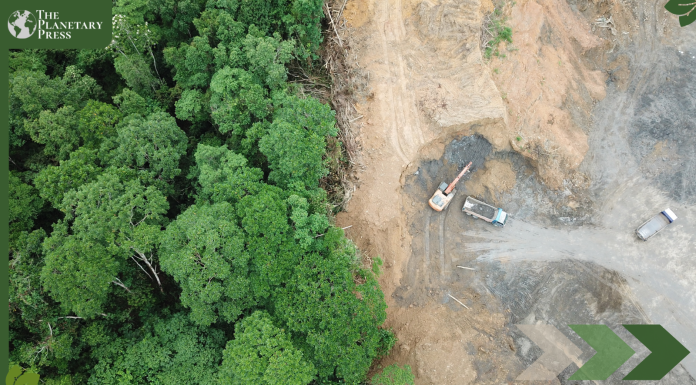 EU Agrees Groundbreaking New Law to Halt Deforestation in World First