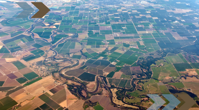 New Food Technologies Could Release 80% of the World’s Farmland Back to Nature