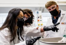 Green Jobs are Booming, But Too Few Employees Have Sustainability Skills to Fill Them – Here are 4 Ways to Close the Gap