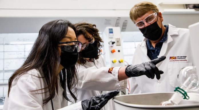 Green Jobs are Booming, But Too Few Employees Have Sustainability Skills to Fill Them – Here are 4 Ways to Close the Gap