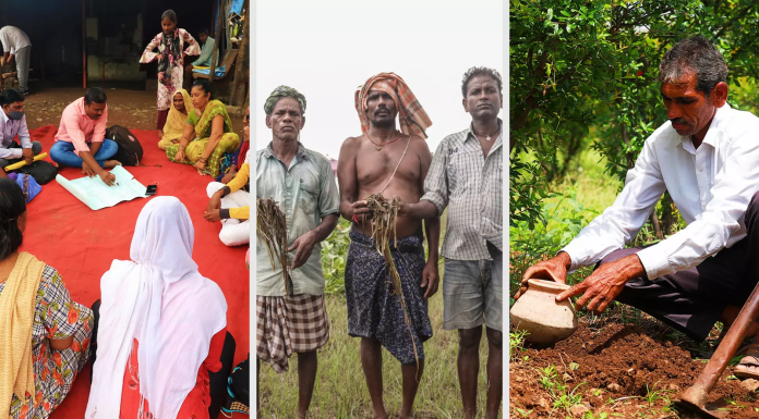 From Reviving Traditional Crops to Climate-Proofing Infrastructure: How 5 Indian Communities are Adapting to Climate Change