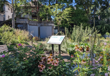 Food Forests are Bringing Shade and Sustenance to US Cities, One Parcel of Land at a Time