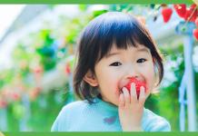 How Schools and Families Can Take Climate Action by Learning About Food Systems