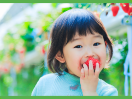 How Schools and Families Can Take Climate Action by Learning About Food Systems
