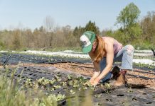 7 Ways to Accelerate the Transition to Sustainable Agriculture