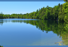 A Canadian Lake Holds the Key to the Beginning of the Anthropocene, a New Geological Epoch