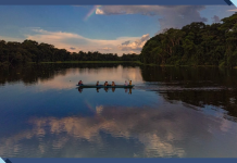 5 Ways Indigenous People are Protecting the Planet