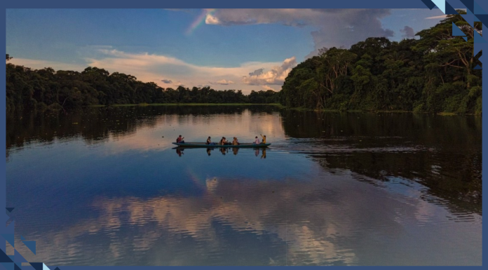 5 Ways Indigenous People are Protecting the Planet