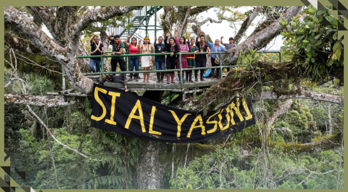Climate Democracy: Ecuador to Halt Oil Drilling in Northern Amazon Rainforest in Historic Vote