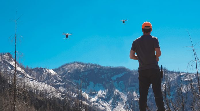 Reforestation Solutions: AI, Drones, Satellites, and Sensors Can Bolster Reforestation Efforts