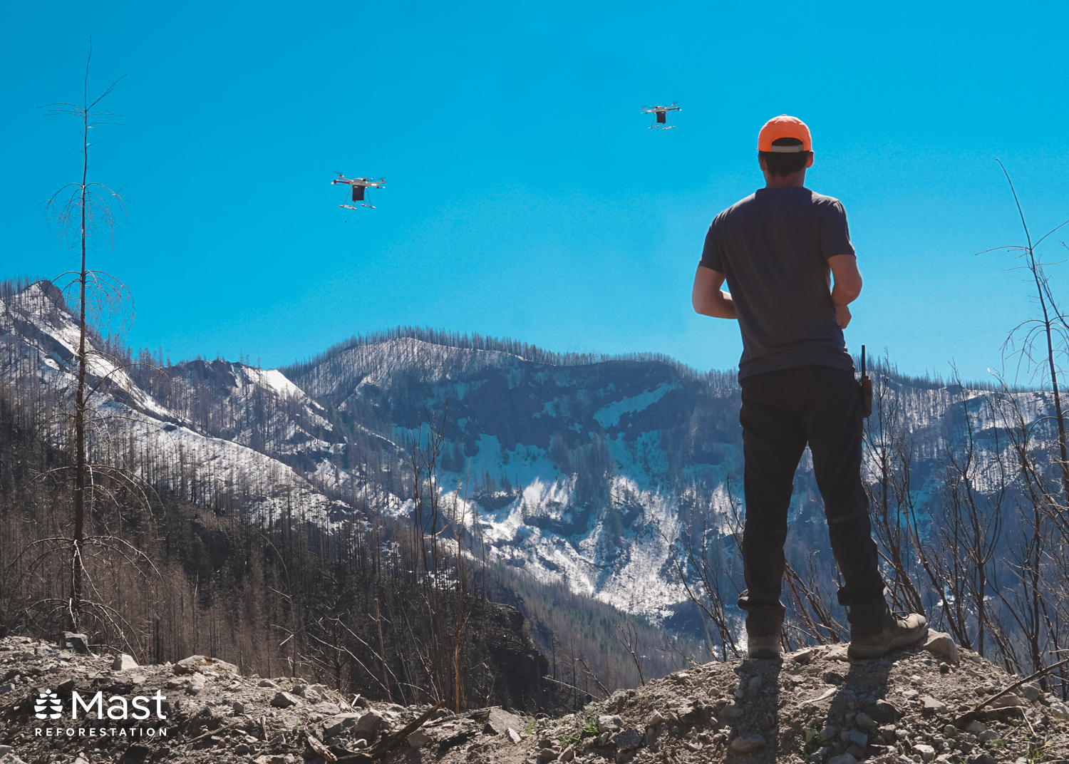 Reforestation Solutions: AI, Drones, Satellites, and Sensors Can Bolster Reforestation Efforts - Vimarsana News