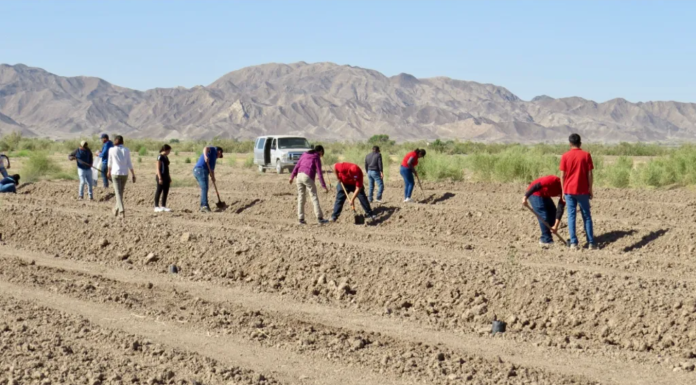 Conservationists and Farmers Work Together to Restore the Colorado River Delta