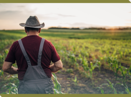 America’s Farmers are Getting Older, and Young People aren’t Rushing to Join Them