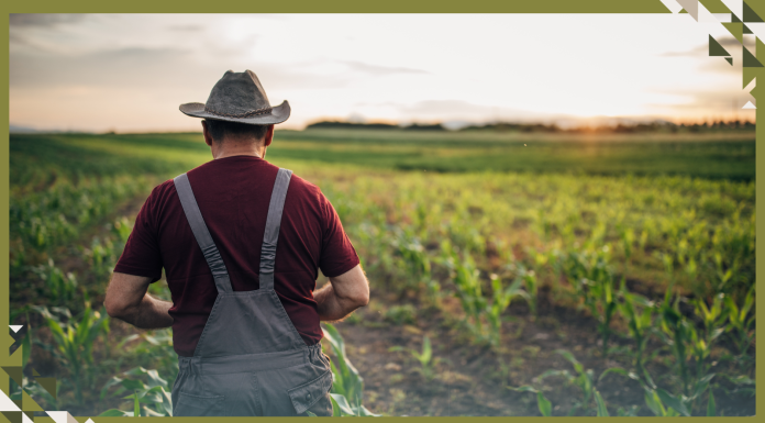America’s Farmers are Getting Older, and Young People aren’t Rushing to Join Them