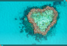 Sydney to Host Inaugural Global Nature Positive Summit