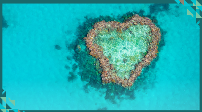 Sydney to Host Inaugural Global Nature Positive Summit