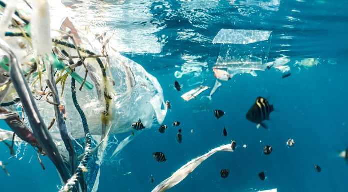 ‘Reuse’ Needs to be the New ‘Recycle’ When it Comes to Packaging, Says TerraCycle CEO Tom Szaky