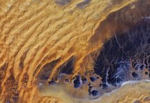 New Perspectives: Empowering Creative Thinking for a Sustainable Future