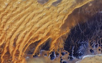 New Perspectives: Empowering Creative Thinking for a Sustainable Future