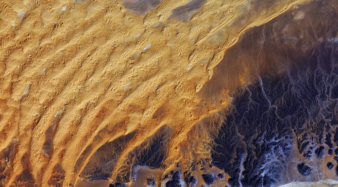 New Perspectives: Empowering Creative Thinking for a Sustainable Future