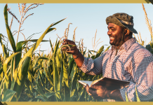 Five Countries Launch High Ambition Coalition on Food Systems Transformation